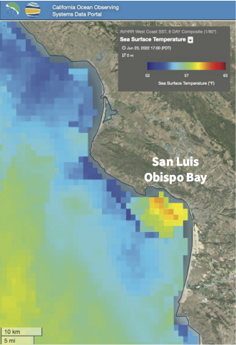 SLO Bay SST Map